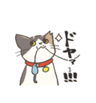 うちの猫みかん（個別スタンプ：28）