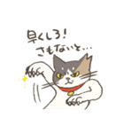 うちの猫みかん（個別スタンプ：30）