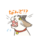 うちの猫みかん（個別スタンプ：33）