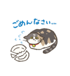 うちの猫みかん（個別スタンプ：35）