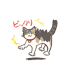 うちの猫みかん（個別スタンプ：37）