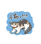 うちの猫みかん（個別スタンプ：38）