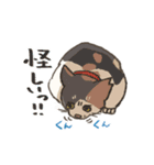 うちの猫みかん（個別スタンプ：39）