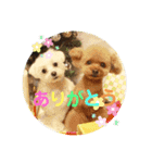 モコモップ♡（個別スタンプ：3）