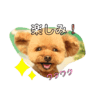 モコモップ♡（個別スタンプ：5）