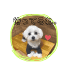 モコモップ♡（個別スタンプ：13）