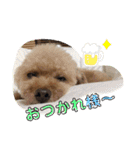 モコモップ♡（個別スタンプ：14）