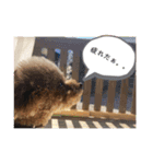 モコモップ♡（個別スタンプ：15）