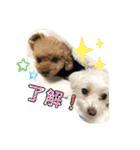 モコモップ♡（個別スタンプ：16）
