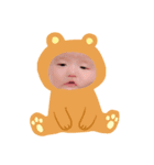 うちの、こっちゃん。（個別スタンプ：8）