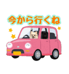 ポメラニアン★ラナ＆ルナ（個別スタンプ：14）