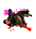 我が家の愉快na仲間たち。（個別スタンプ：3）