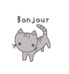 ねことしらたま（個別スタンプ：19）