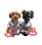 犬 ・プードル スタンプ（個別スタンプ：37）