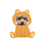 犬 ・プードル スタンプ（個別スタンプ：39）