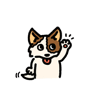 じゃっさんスタンプ 1（個別スタンプ：4）