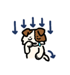 じゃっさんスタンプ 1（個別スタンプ：5）