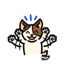 じゃっさんスタンプ 1（個別スタンプ：11）