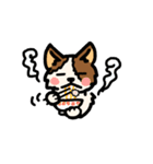 じゃっさんスタンプ 1（個別スタンプ：13）