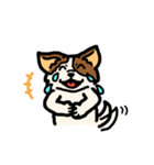 じゃっさんスタンプ 1（個別スタンプ：14）
