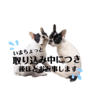 フレブル福ちゃんのおともだち（個別スタンプ：11）