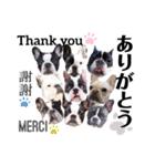 フレブル福ちゃんのおともだち（個別スタンプ：39）