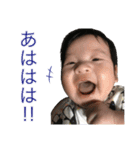 うちのおうさま（個別スタンプ：8）