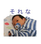 うちのおうさま（個別スタンプ：13）