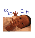 うちのおうさま（個別スタンプ：17）