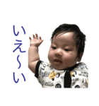 うちのおうさま（個別スタンプ：36）