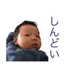うちのおうさま（個別スタンプ：38）