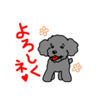 こめいもあわスタンプ（個別スタンプ：12）