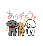こめいもあわスタンプ（個別スタンプ：19）