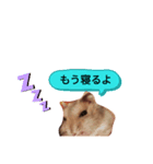 アイ アム ホープ（個別スタンプ：7）