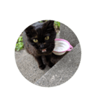 黒にゃんこねこ（個別スタンプ：7）