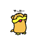 かものはしたろう（個別スタンプ：13）