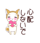 毎日つかえる！柴犬男子。（個別スタンプ：19）