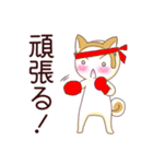 毎日つかえる！柴犬男子。（個別スタンプ：20）