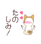 毎日つかえる！柴犬男子。（個別スタンプ：34）