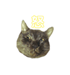 グリツナキャット245（個別スタンプ：31）