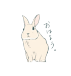えくぼうさぎ もちまるの日常（個別スタンプ：1）