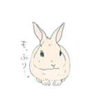 えくぼうさぎ もちまるの日常（個別スタンプ：2）