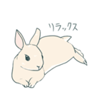 えくぼうさぎ もちまるの日常（個別スタンプ：4）