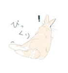 えくぼうさぎ もちまるの日常（個別スタンプ：7）