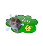 スラング☆こねこ（個別スタンプ：6）