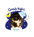 ねこparadise（個別スタンプ：7）