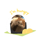 ねこparadise（個別スタンプ：8）