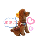 トイプーマモの戯言（個別スタンプ：6）