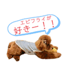 トイプーマモの戯言（個別スタンプ：9）