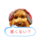 トイプーマモの戯言（個別スタンプ：13）